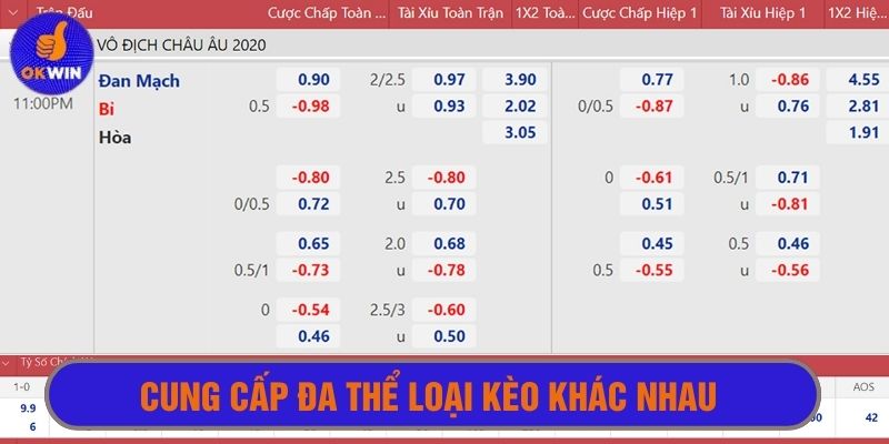 Đa dạng thể thức kèo cá cược bóng đá, phong phú trải nghiệm người chơi