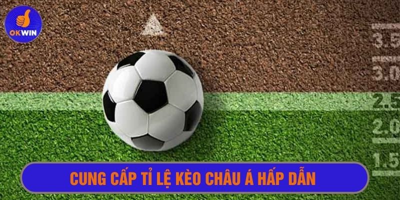 Kèo châu Á là một trong những kèo được ưa chuộng nhất tại nền tảng