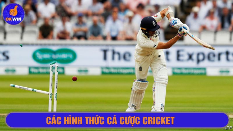 Cược vào cầu thủ chơi Cricket xuất sắc nhất