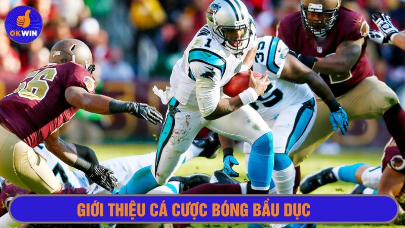 Cá cược bóng bầu dục thu hút người chơi