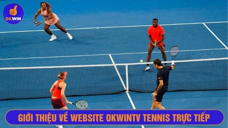 Okwintv trở thành địa chỉ xem tennis trực tiếp được yêu thích