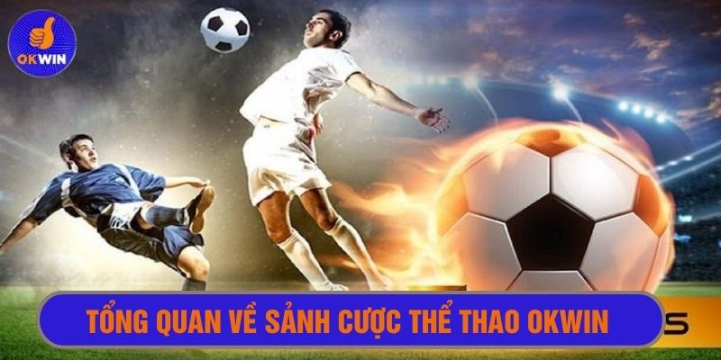Tổng quan về sảnh cược thể thao Okwin