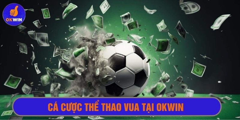 Hết mình cùng thể thao vua tại Okwin