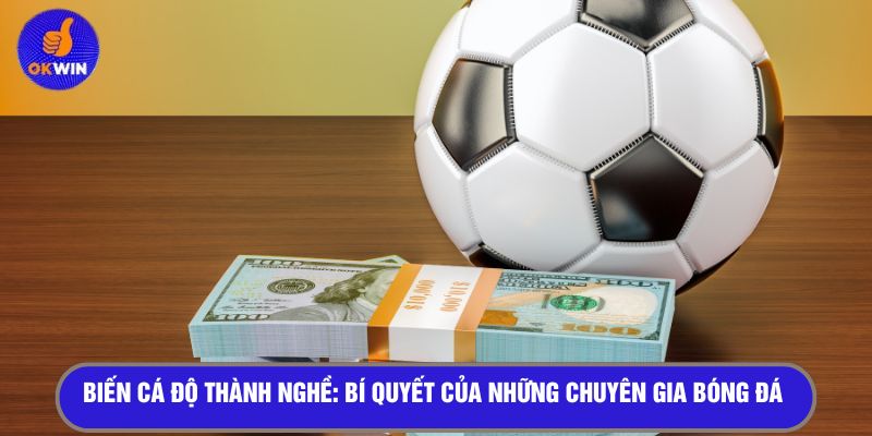 Biến cá độ thành nghề: Bí quyết của những chuyên gia bóng đá