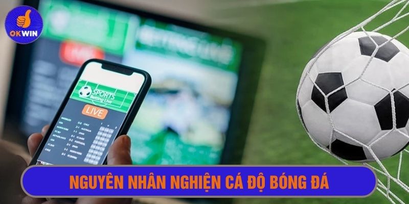 Nguyên nhân gây nghiện cá cược bóng đá