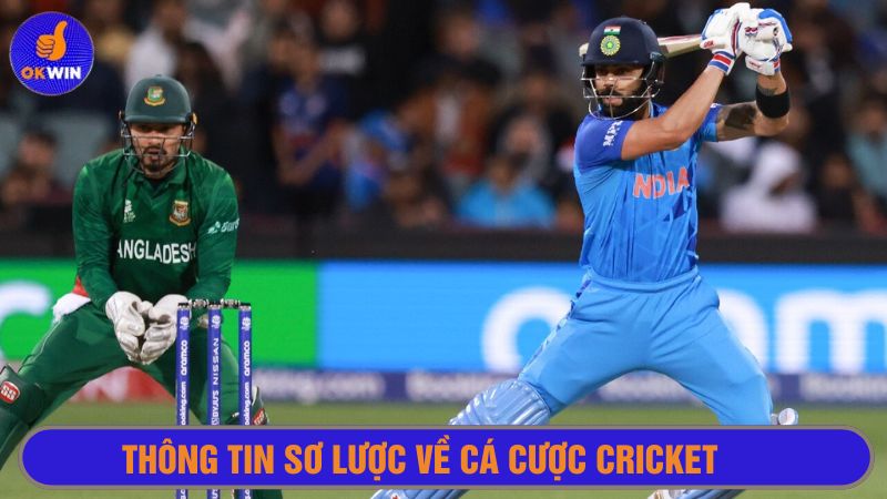 Cá cược Cricket chỉ mới phổ biến tại Việt Nam