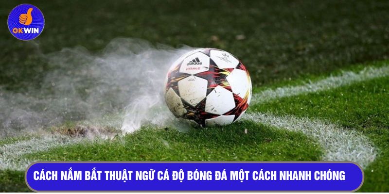 Cách nắm bắt thuật ngữ cá độ bóng đá một cách nhanh chóng