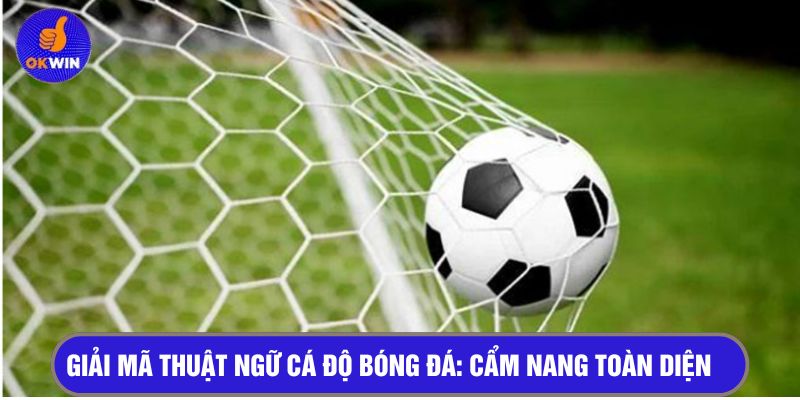 Giải mã thuật ngữ cá độ bóng đá: Cẩm nang toàn diện