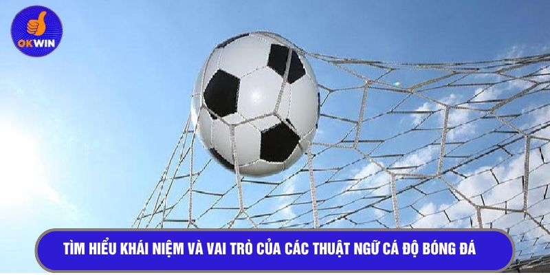 Tìm hiểu khái niệm thuật ngữ cá độ bóng đá