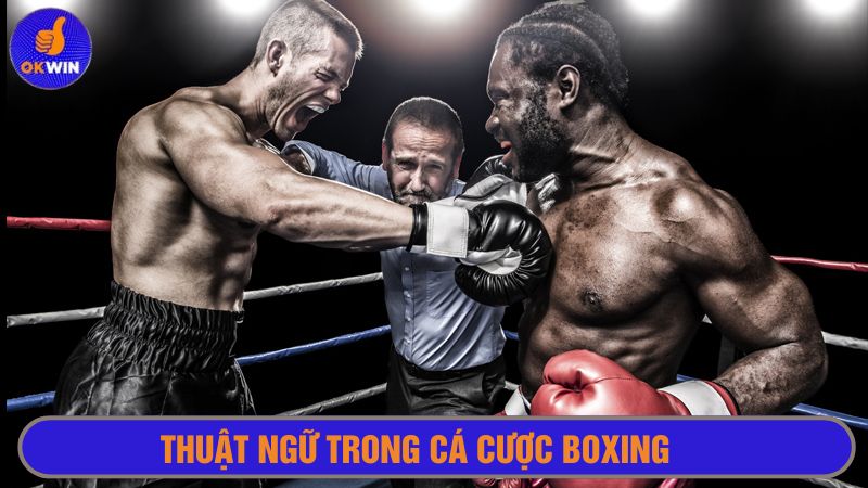 Thuật ngữ được sử dụng nhiều trong các trận đấu quyền anh