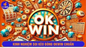 Chiến dịch Okwin