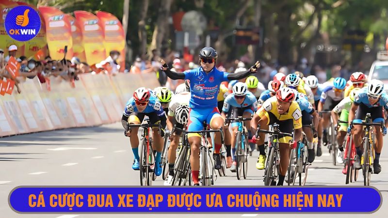 Cá cược đua xe đạp được ưa chuộng hiện nay