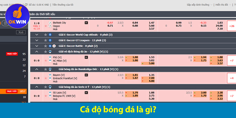Cách chơi cá độ bóng đá luôn thắng từ dân chuyên nghiệp 2025