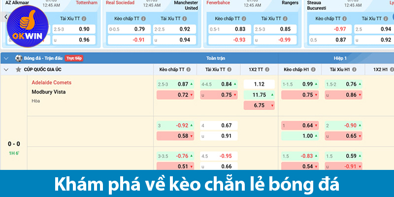 Các loại cược trong kèo chẵn lẻ bóng đá và bí quyết chơi từ OKWIN